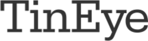 TinEye logo (In use by January 2025)